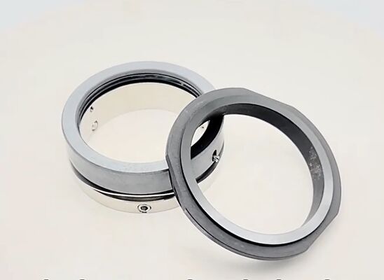 AES W04 1688Y Wave Spring Mechanical Seal Suit for Hilge Pumps