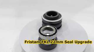 SIC SIC FKM メカニカル シール 22MM を選択する理由をご覧ください。Fristam FKL ポンプに適しています
